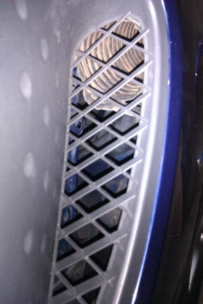 IMAG0113.jpg