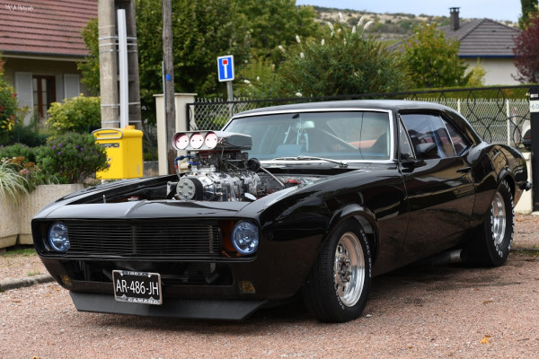 muscle car.JPG