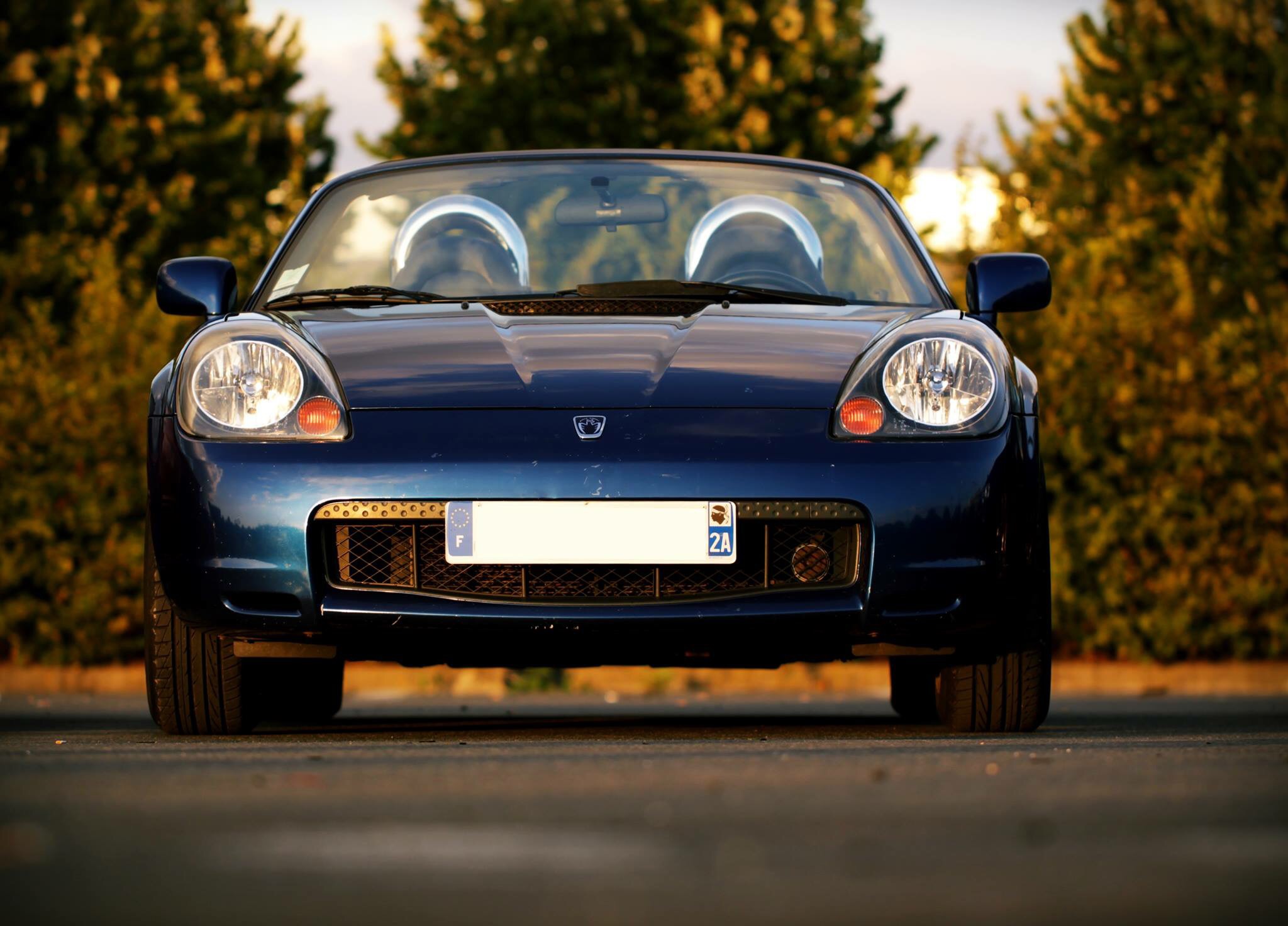 Voici la Belle :)