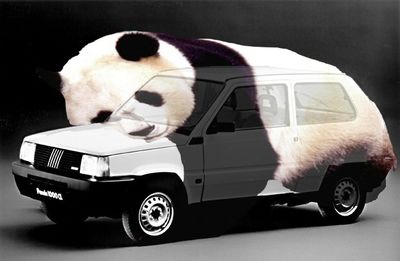 FiatPanda1.jpg